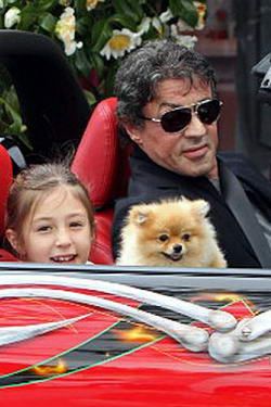 Shpitc Silvestera Stallone